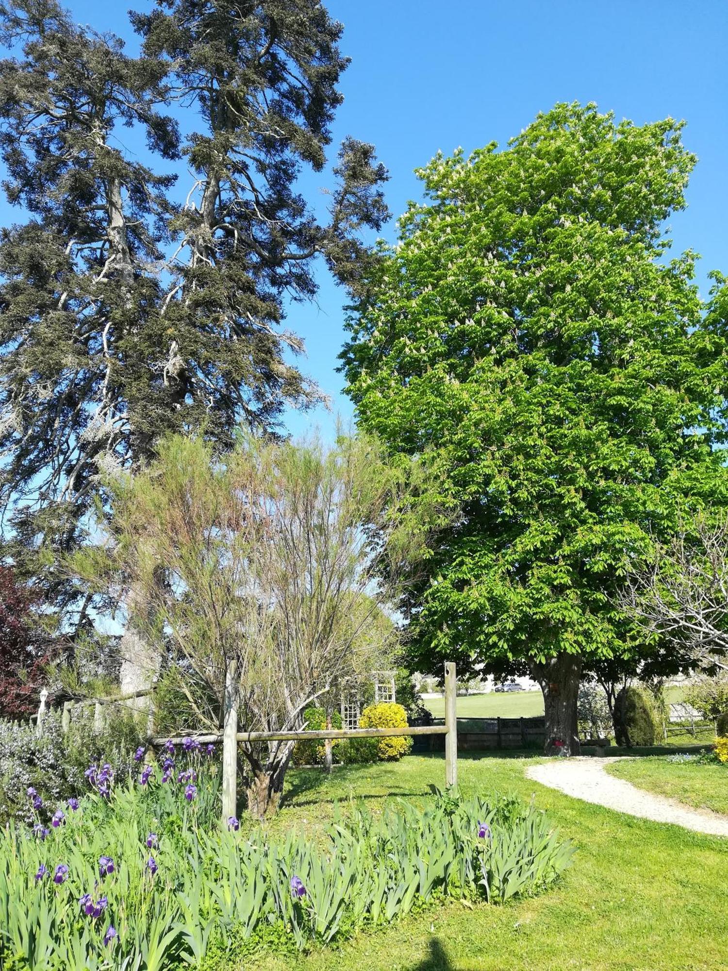 Manoir De L'Abbaye Bed & Breakfast Seuilly ภายนอก รูปภาพ